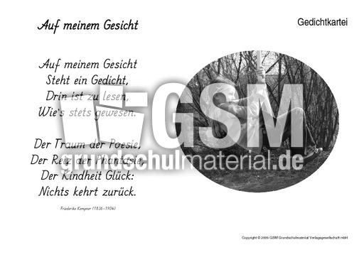 Auf-meinem-Gesicht-Kempner.pdf